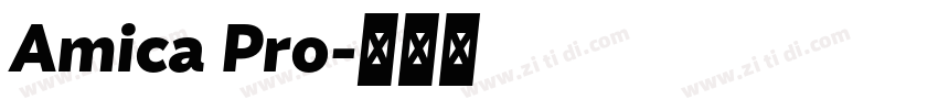 Amica Pro字体转换